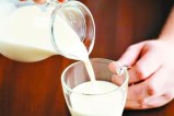 The aroma of milk will resonate in schools: 8.5 million kilograms of milk powder will provide nutritious milk to children.