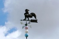 डेटा-विश्वसनीयता संकट के बीच शासन ने डीएमों को यंत्रों की साफ-सफाई के निर्देश दिए (फोटो सोर्स : Whatsapp Group)