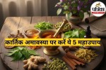 Ayurvedic Herbs