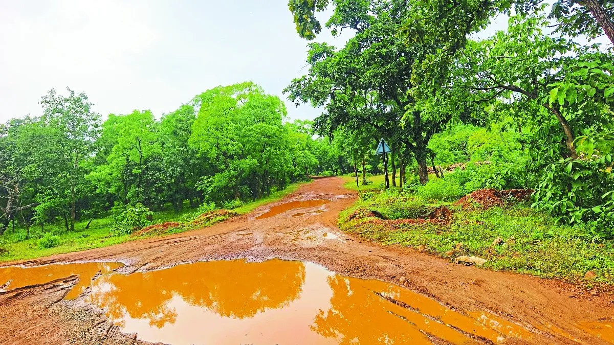 तरौद से दैहान बायपास मार्ग की स्वीकृति के लगभग 10 साल बाद भी कार्य शुरू नहीं हुआ है। ग्रामीणों ने जल्द बायपास निर्माण शुरू करने की मांग की है। 40 करोड़ की लगात से 7.80 किमी मार्ग के निर्माण में जमीन अधिग्रहण के बदले राजस्व विभाग को लगभग 8 हेक्टेयर जमीन उपलब्ध कराना है।