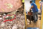Rajasthan News Banswara government office Liquor party busted SE caught red-handed one arrested