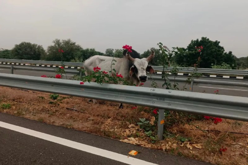 Bharatmala Expressway