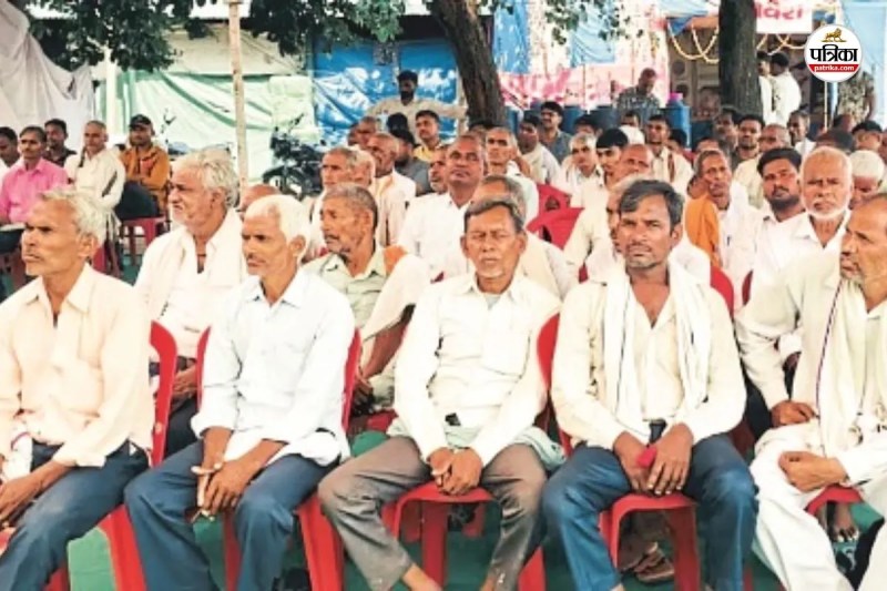 Good News a farmer two animals are free of charge insured Rajasthan Government death claim ₹40,000