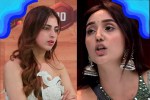 Bigg Boss 19