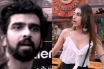 Bigg Boss 19 Latest Updates