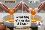 Brown Egg vs White Egg : भूरा अंडा बनाम सफेद अंडा: कौन सा है ज्यादा हेल्दी?