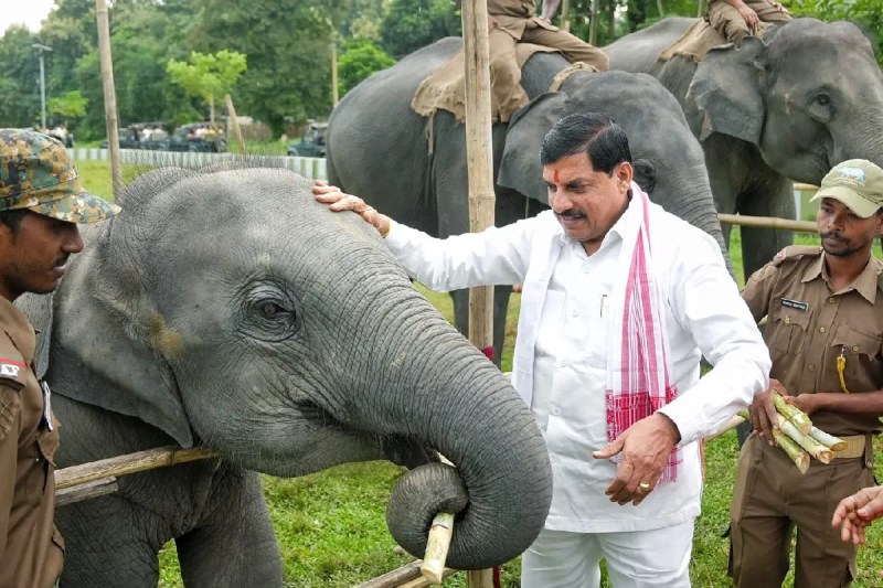CM Mohan Yadav