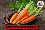 Carrot,carrot benefits for health,carrot benefits,Carrot benefits hindi,Carrot For Winter,