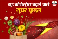 Good Cholesterol,Foods for Good Cholesterol, Healthy lifestyle, health news,