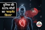 Chronic Inflammation