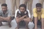 Churu police arrested notorious gang
