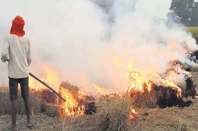 Yogi Government Climate Action