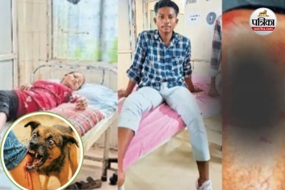 भोपालपटनम में पागल कुत्ते का आतंक (Photo source- Patrika)