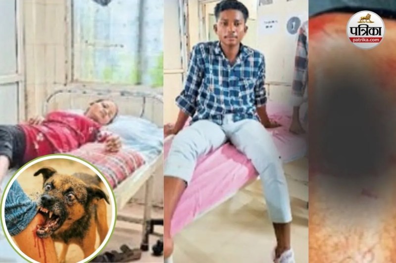 भोपालपटनम में पागल कुत्ते का आतंक (Photo source- Patrika)