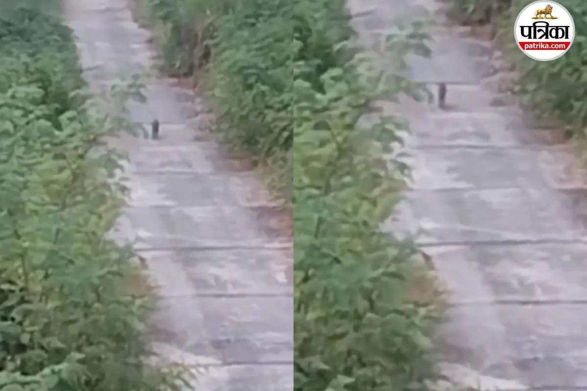 Short video poster image