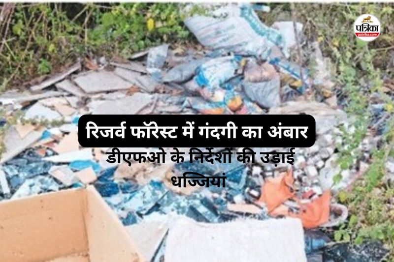 कचरा, चोरी और लापरवाही ने उजाड़ी हरियाली की पहचान(photo-patrika)