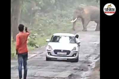 हाथियों के पास जाकर बना रहे वीडियो (Photo source- Patrika)