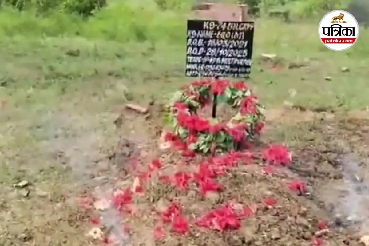 Short video poster image