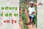 किसान को मिला आमदनी का नया रास्ता (Photo source- Patrika)