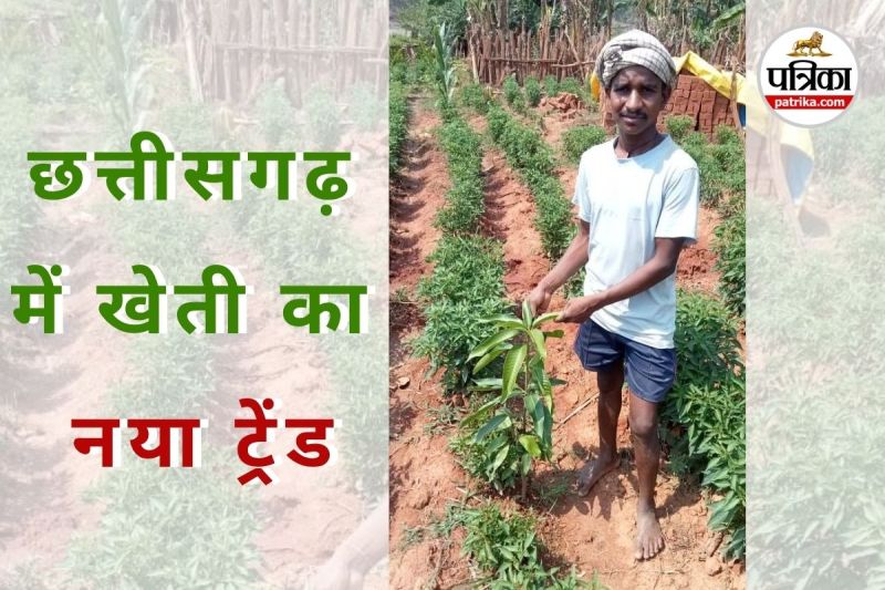 किसान को मिला आमदनी का नया रास्ता (Photo source- Patrika)