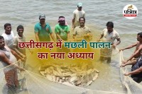Fish Farming (Photo source- Patrika)