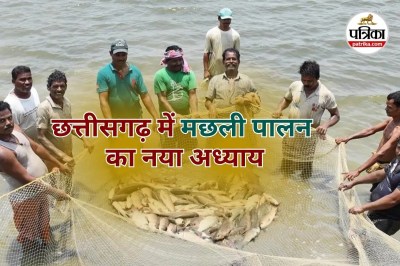 Fish Farming (Photo source- Patrika)
