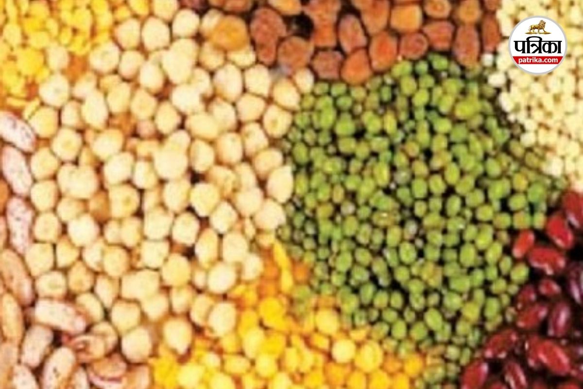 Purchase Support Price (Photo source- Patrika)