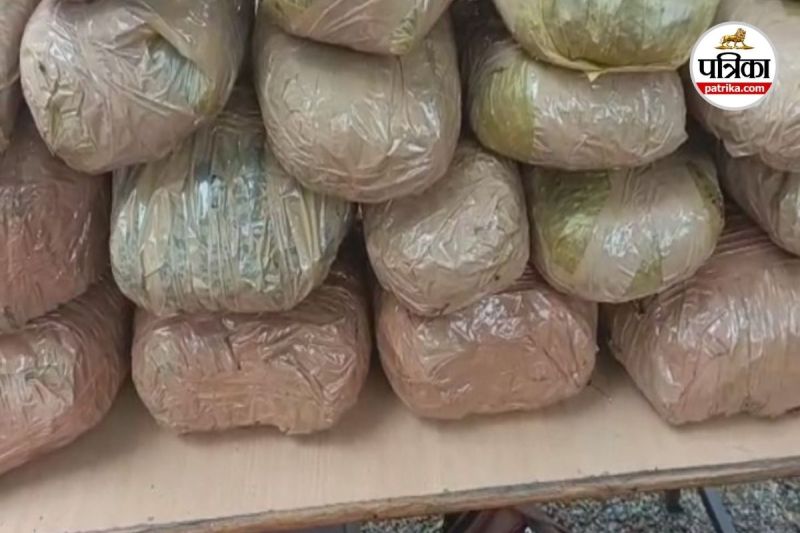 CG Ganja Seized (photo source- Patrika)