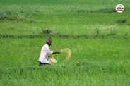 किसान (Photo Patrika)