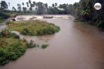 Rivers in Tamil Nadu overflow due to rain