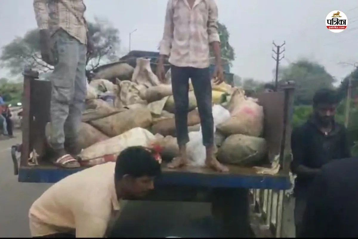 CG News: ड्राई डे पर खपाने बना रहे थे 5 लाख की महुआ शराब, अचानक पहुंची पुलिस और फिर… देखें Video
