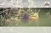 महिला का शव बरामद (Photo source- Patrika)