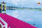 छठ महापर्व (Photo source- Patrika)