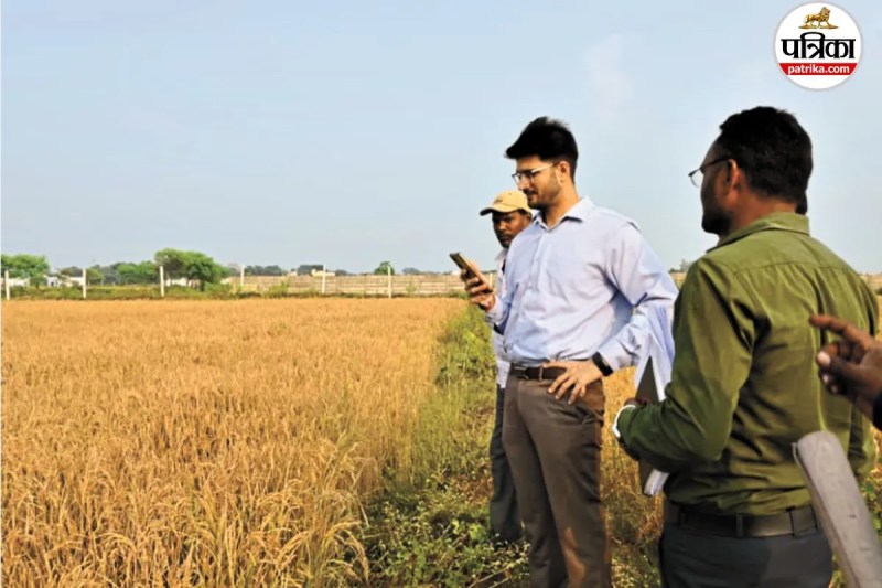 फसल का भौतिक सत्यापन करने कलेक्टर पहुंचे फील्ड (फोटो सोर्स- पत्रिका)