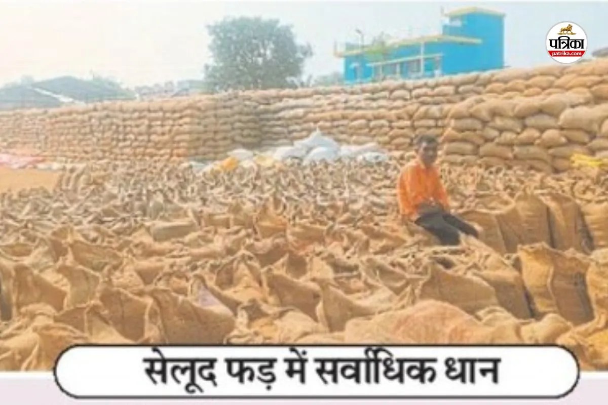 धान खरीदी में लापरवाही..! 4.73 लाख क्विंटल धान का उठाव नहीं, जिम्मेदार बरत रहे उदासीनता...(photo-patrika)