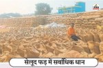 धान खरीदी में लापरवाही..! 4.73 लाख क्विंटल धान का उठाव नहीं, जिम्मेदार बरत रहे उदासीनता...(photo-patrika)