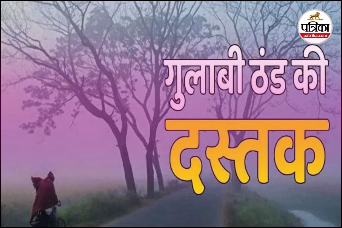 गुलाबी ठंड की दस्तक से मौसम हुआ सुहाना (Photo source- Patrika)