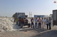 Cotton prices