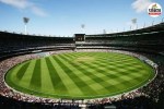 Cricket Representative image