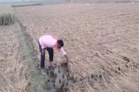 UP Weather Update (फोटो सोर्स : Whatsapp Group)