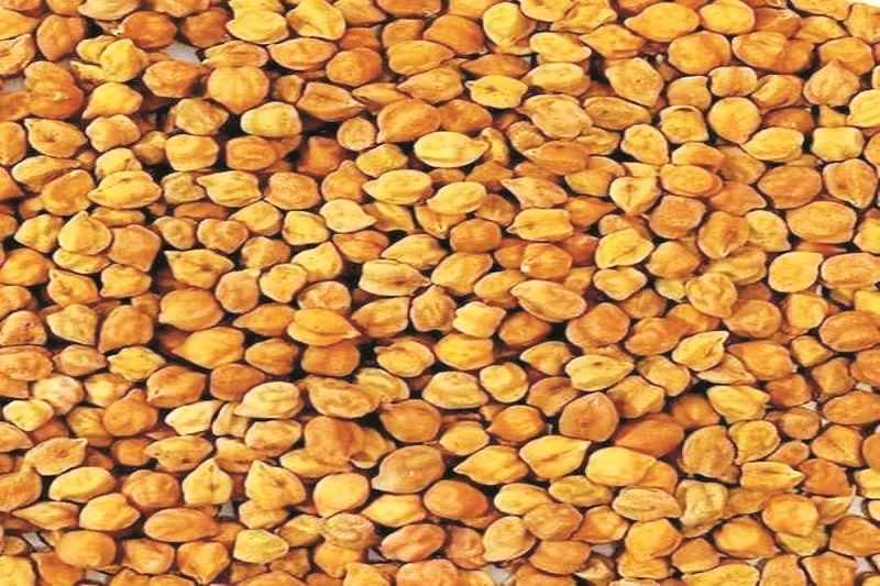 Free Ration Scheme (photo source- Patrika)