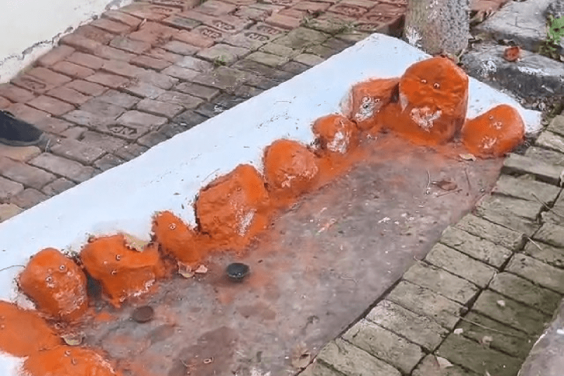 Disrespect of Yadav-Gawali Kuldevi temple joothan thrown mp news