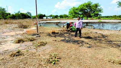 दीपावली और मातर उत्सव भी समाप्त हो गया। अब बड़ी संख्या में किसान अपने खेतों में पके धान की कटाई व मिंजाई करने में व्यस्त हो जाएंगे। कई किसानों की धान की फसल पककर तैयार है। इस बार जिले में 22 नए खरीदी केंद्र खोले जाएंगे, जिसकी स्वीकृति भी मिल गई है।