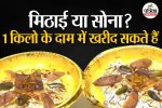 Diwali expensive sweets price, Most Expensive Sweet,Swarna Prasadam