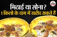 Diwali expensive sweets price, Most Expensive Sweet,Swarna Prasadam