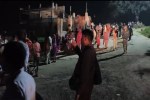 Elephants reached near city