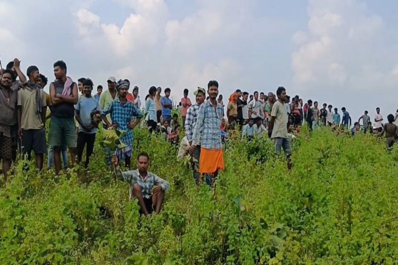 Elephants killed youth
