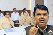 Fadnavis on Thackeray brothers