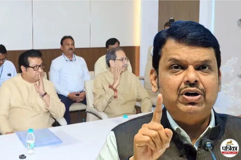 Fadnavis on Thackeray brothers