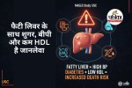Fatty Liver